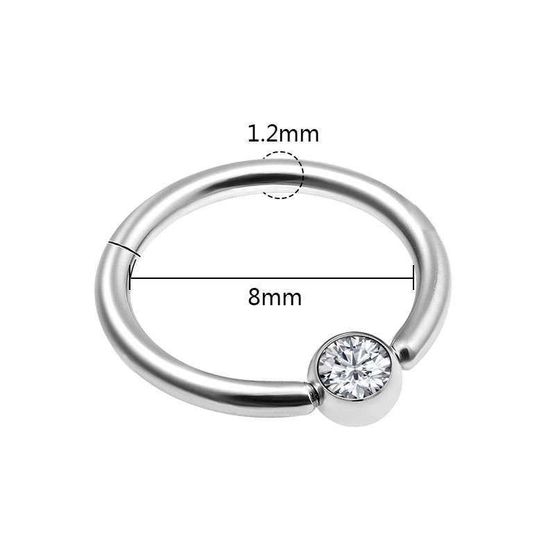 1個 パンクスタイル ノーズリング クリッカー セグメント  - Body Jewelry Septum のレビューと価格