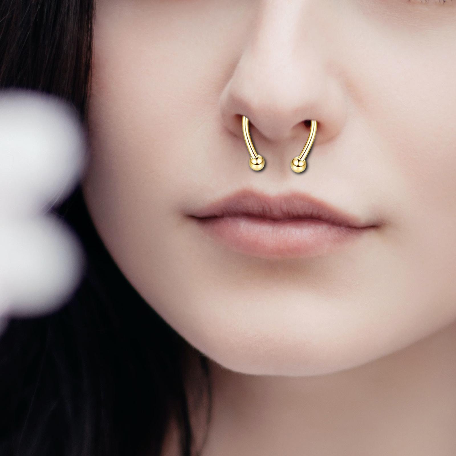 ステンレス製マグネット式フェイクノーズリング、セプタムフープ - Body Jewelry Shop のレビューと価格