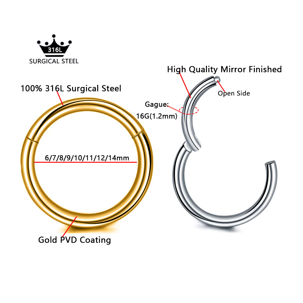 316L サージカルスチールクリッカーセグメントノーズリング - Body Jewelry Septum のレビューと価格