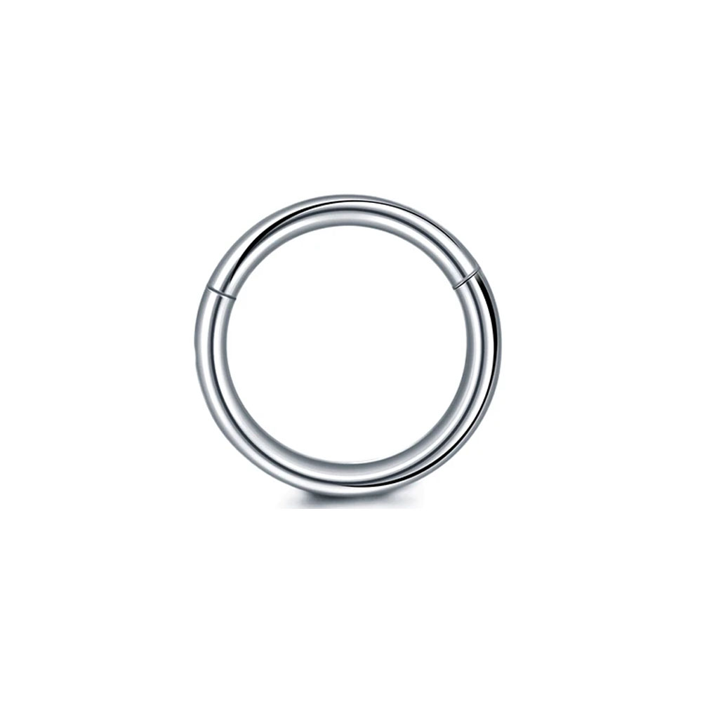 316L サージカルスチールクリッカーセグメントノーズリング - Body Jewelry Septum のレビューと価格
