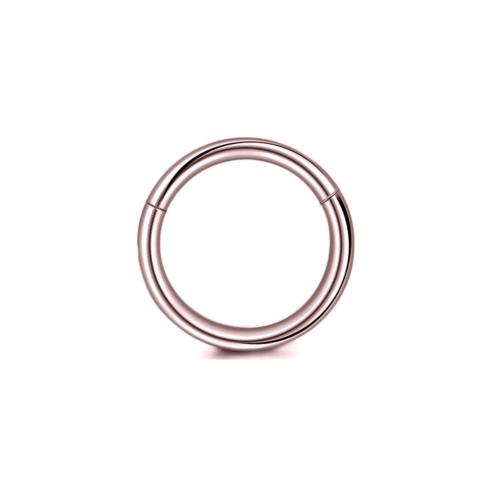 316L サージカルスチールクリッカーセグメントノーズリング - Body Jewelry Septum のレビューと価格