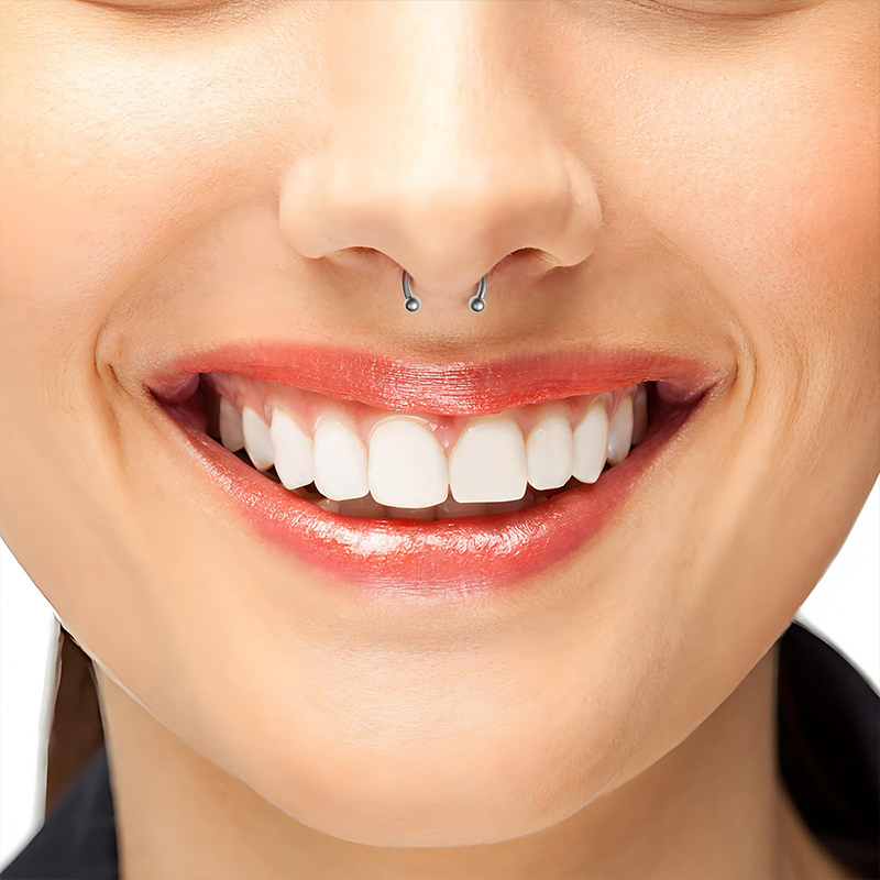 5個/ロット ステンレス鋼 18G ホースシュー型 サークル - Body Jewelry Septum のレビューと価格